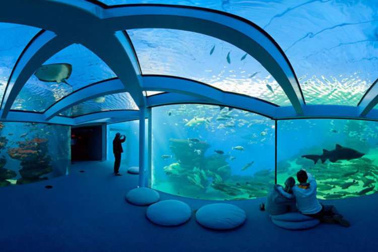 Großes-Aquarium-von-Palma-de-Mallorca