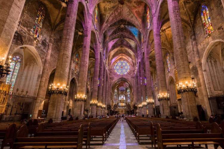 Blick-von-hinten-auf-die-Kathedrale-von-Palma-de-Mallorca
