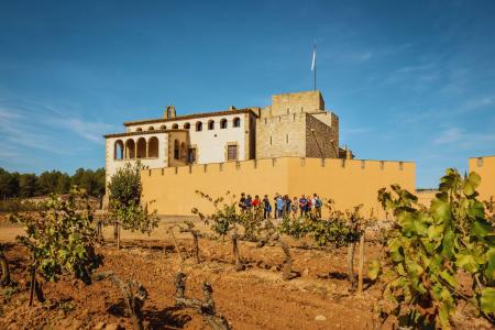 Monastery-Montserrat-vineyard-Barcelona-Fontpage