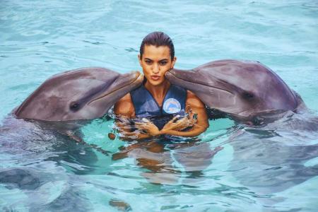 Delfin-Begegnung-Punta-Cana