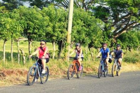 Route-unter-Fahrrad-Punta-Cana