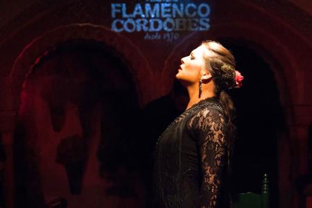 Espectáculo-flamenco