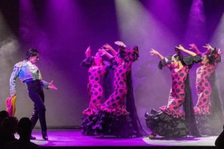 Olé-Flamenco-Vorstellung