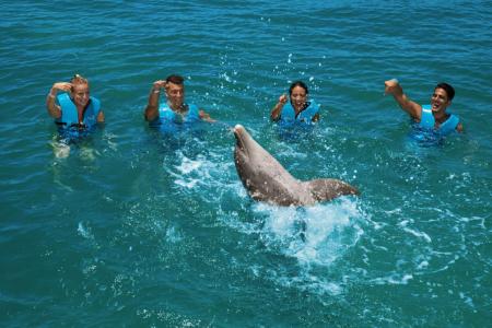 Splash-Interacción-con-Delfines