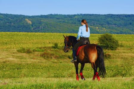 Horseback-riding-Visit-ranch