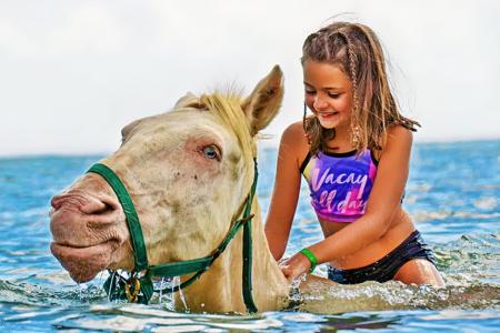 Schwimmen-mit-Pferden-an-einem-Strand-in-Punta-Cana