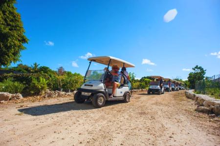 Punta-Cana:Ökologische-Golfwagen-Tour
