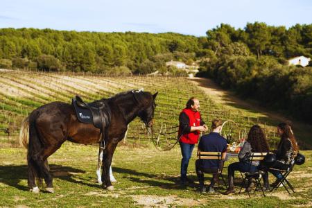 Picnic-and-Andalusian-Horses-in-the-Valley-of-Randa-in-Mallorca