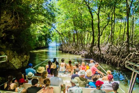 Tour-zur-Schildkröteninsel-und-Saona-Island