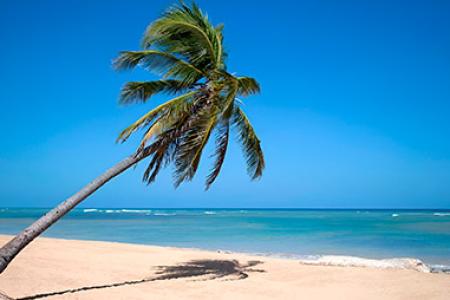 Exclusive-Tour-to-Saona-Island